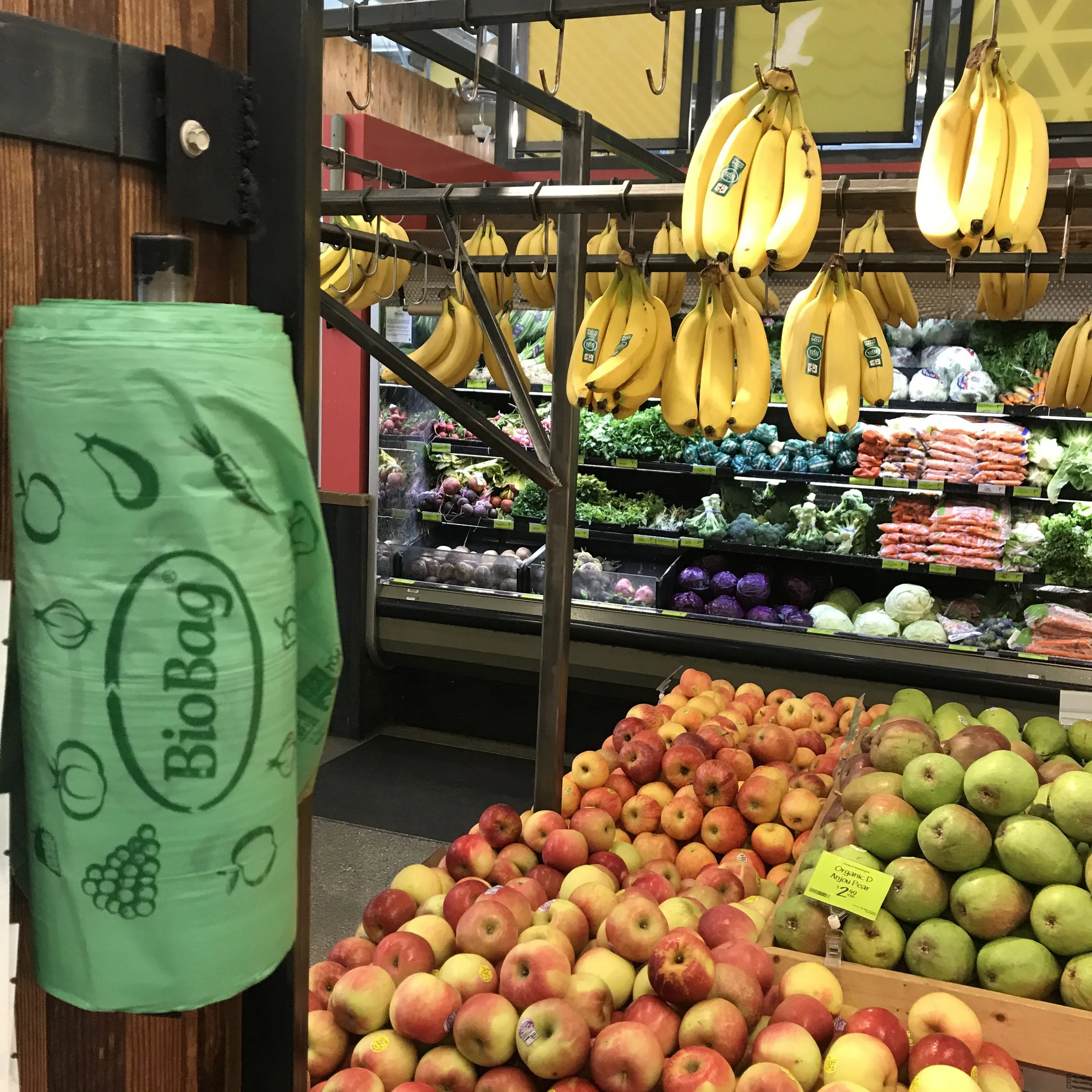 11" x 17" x 0.48 mil Green Home-Compostable Plastic Grocery Store Produce Bags (3,200 Bags, 800 Bags/Roll, 4 Rolls/Case)