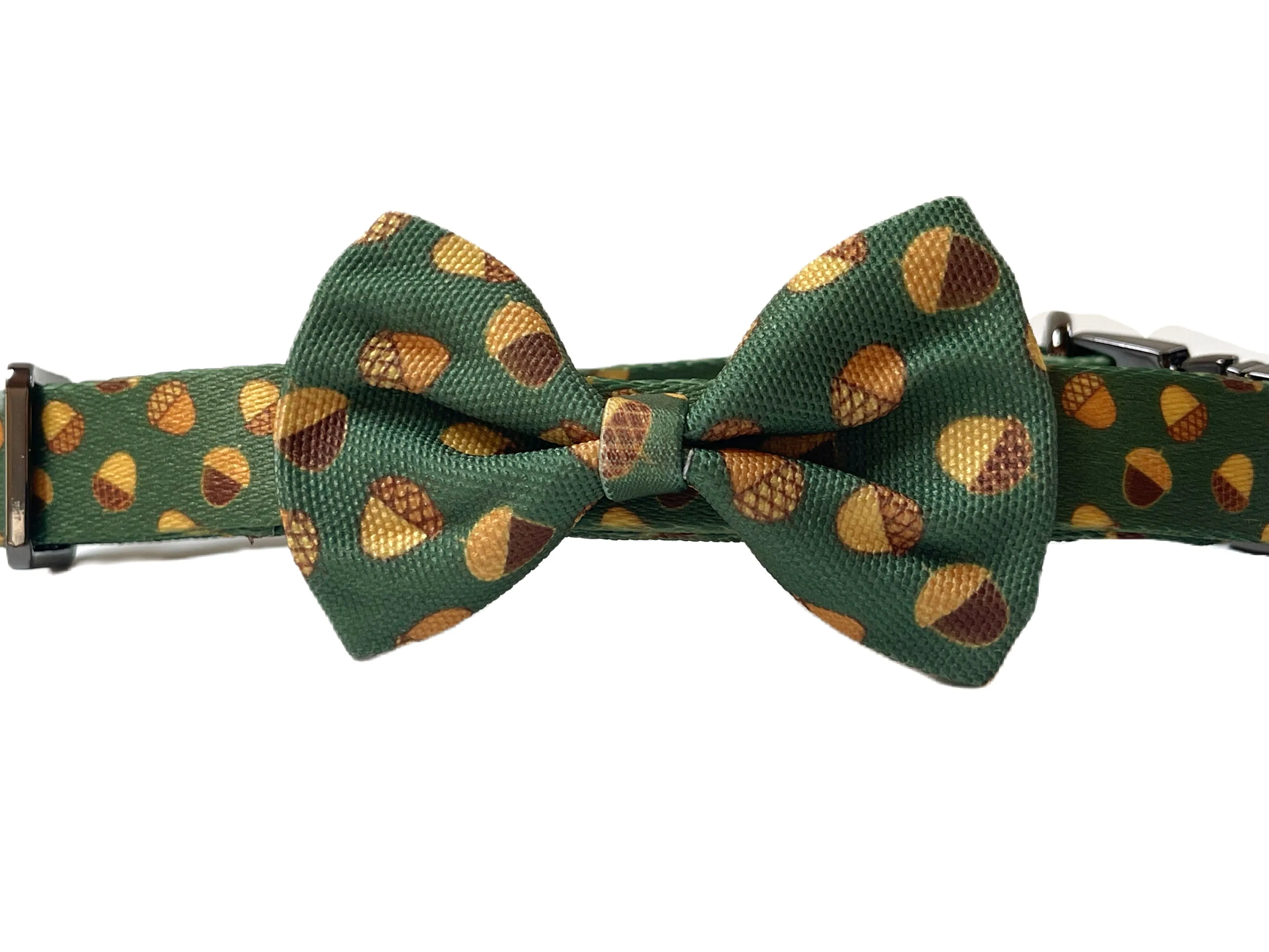 Acorns - Recycled Eco-Friendly Collar & Leash