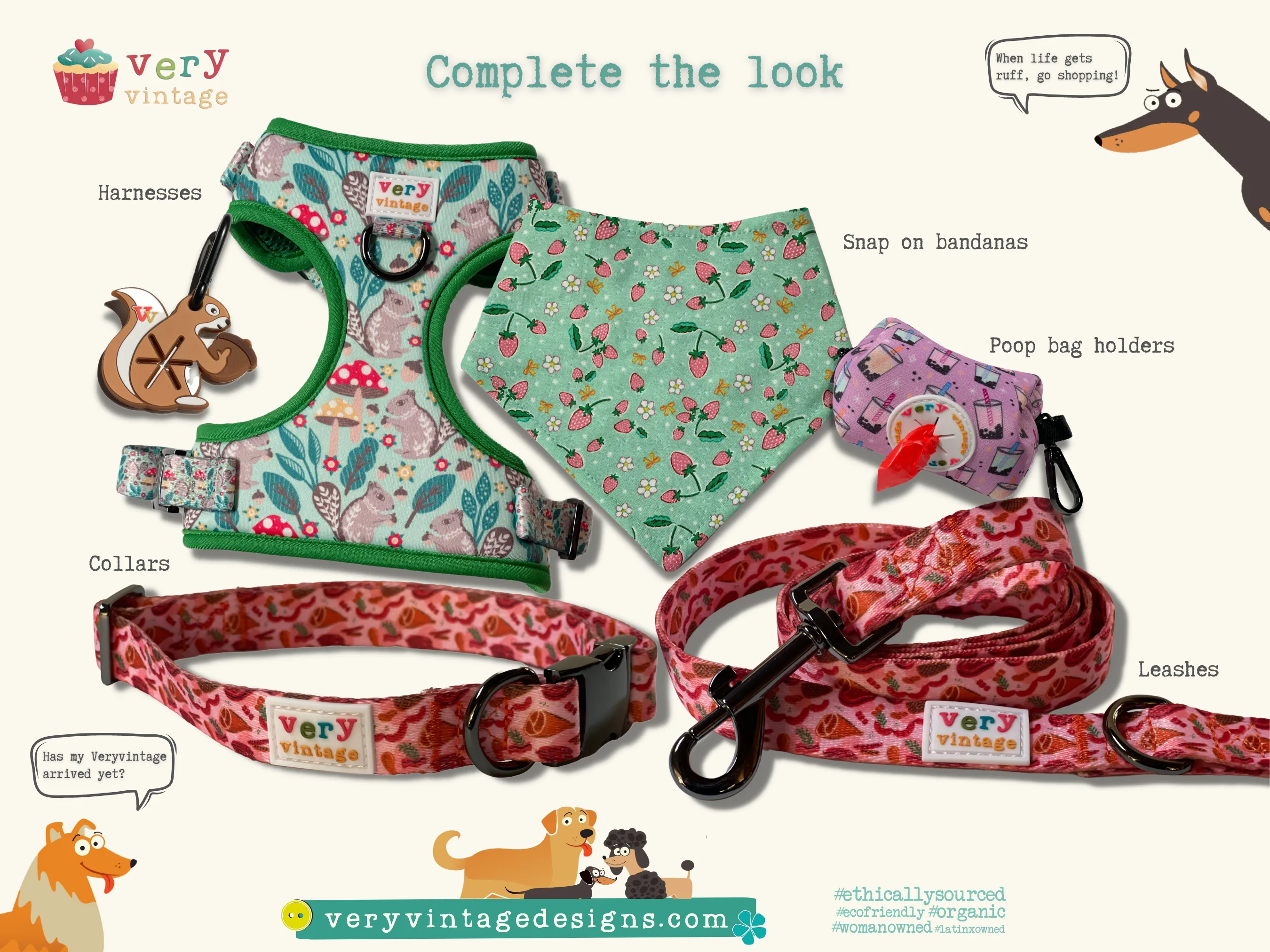 Acorns - Recycled Eco-Friendly Collar & Leash