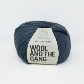 Crazy Sexy Wool - Eagle Grey