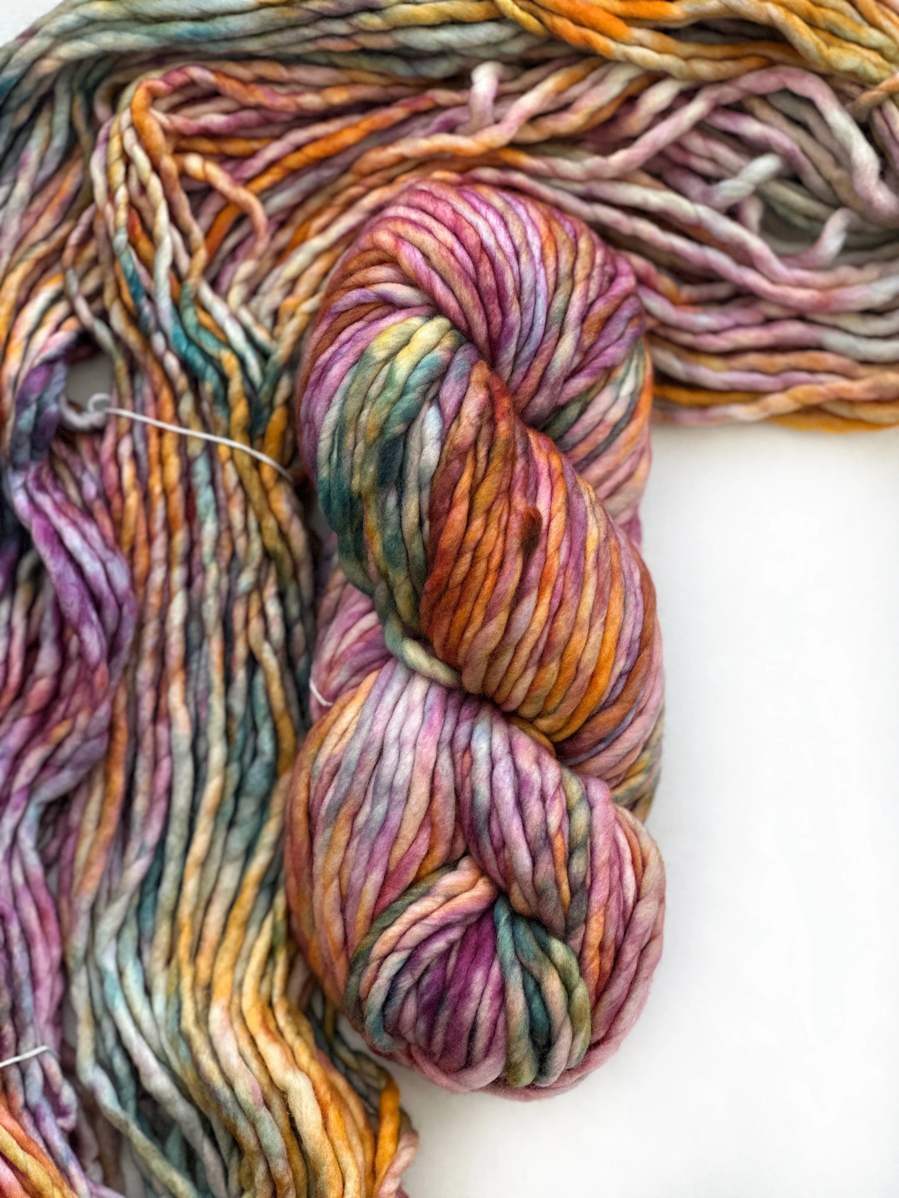 Malabrigo Rasta in Dancing Leaves
