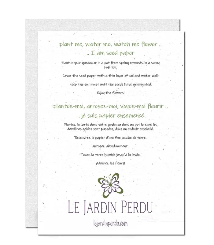 Plantable Birthday Card - Kittens